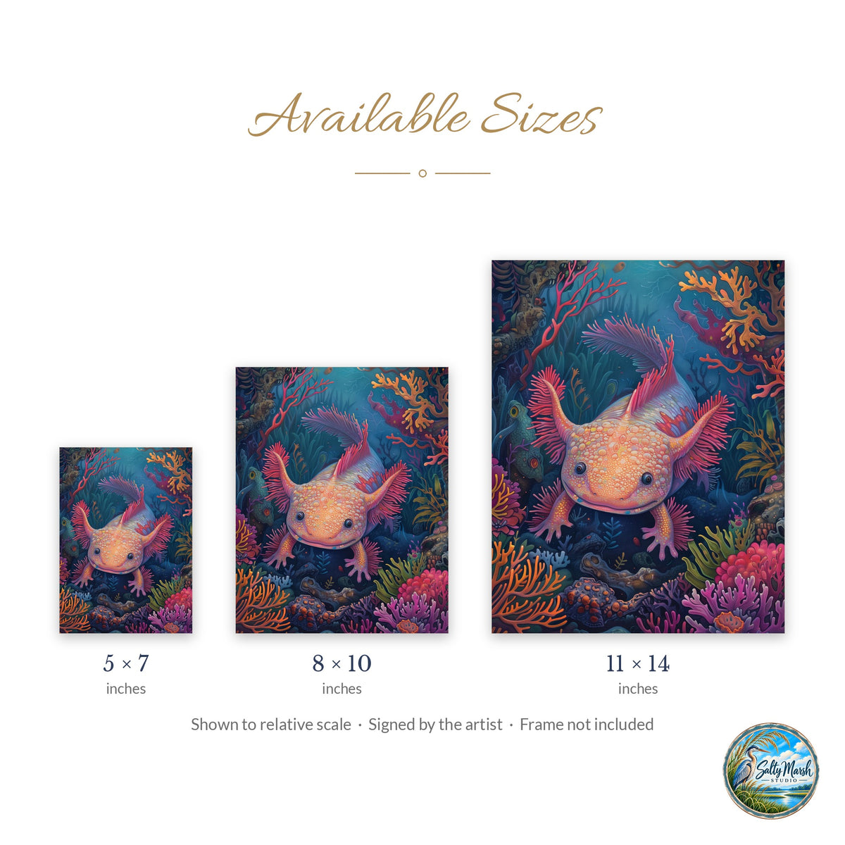 Coral Axolotl art print size guide: 5x7, 8x10 and 11x14