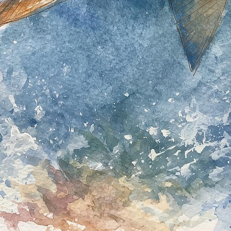 Great White Shark animal art print close-up detail