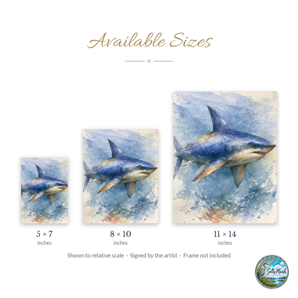 Great White Shark art print size guide: 5x7, 8x10 and 11x14