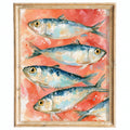 Coral Sardines animal art print framed
