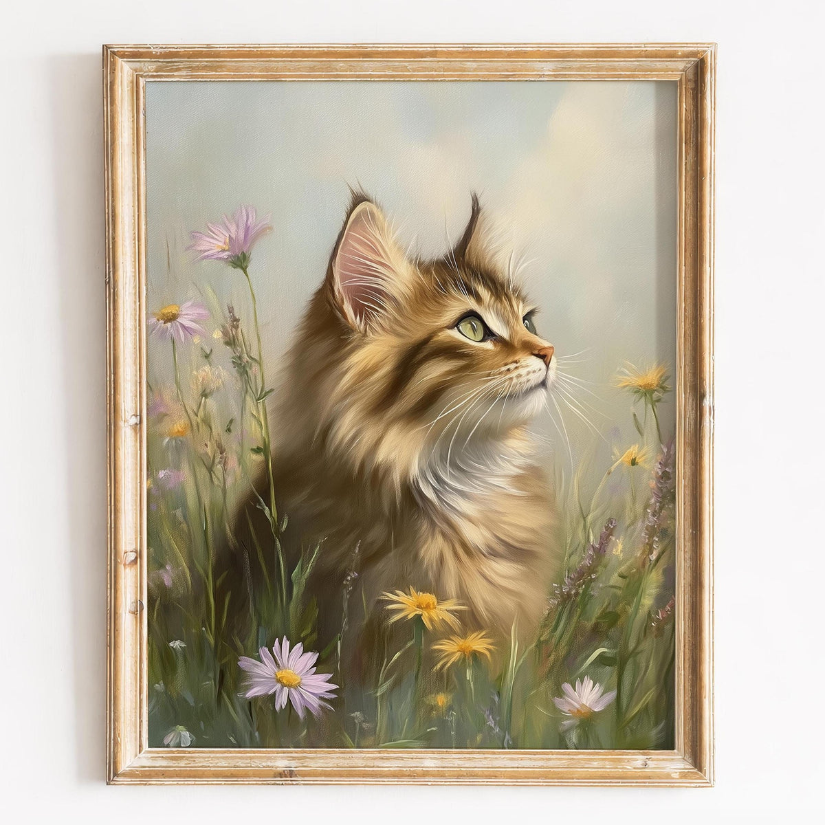 Maine Coon Meadow animal art print framed