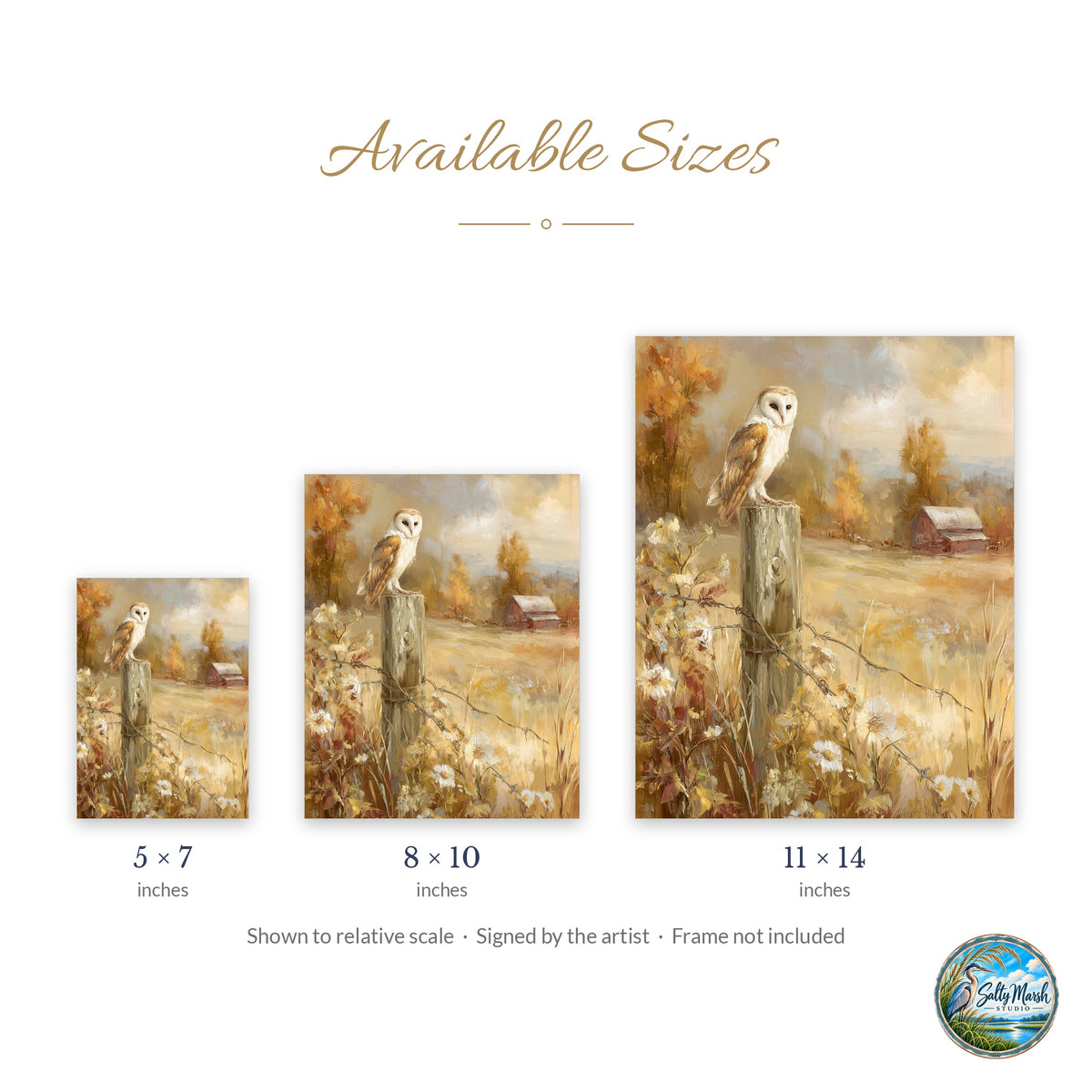Barn Owl Fence Post art print size guide: 5x7, 8x10 and 11x14