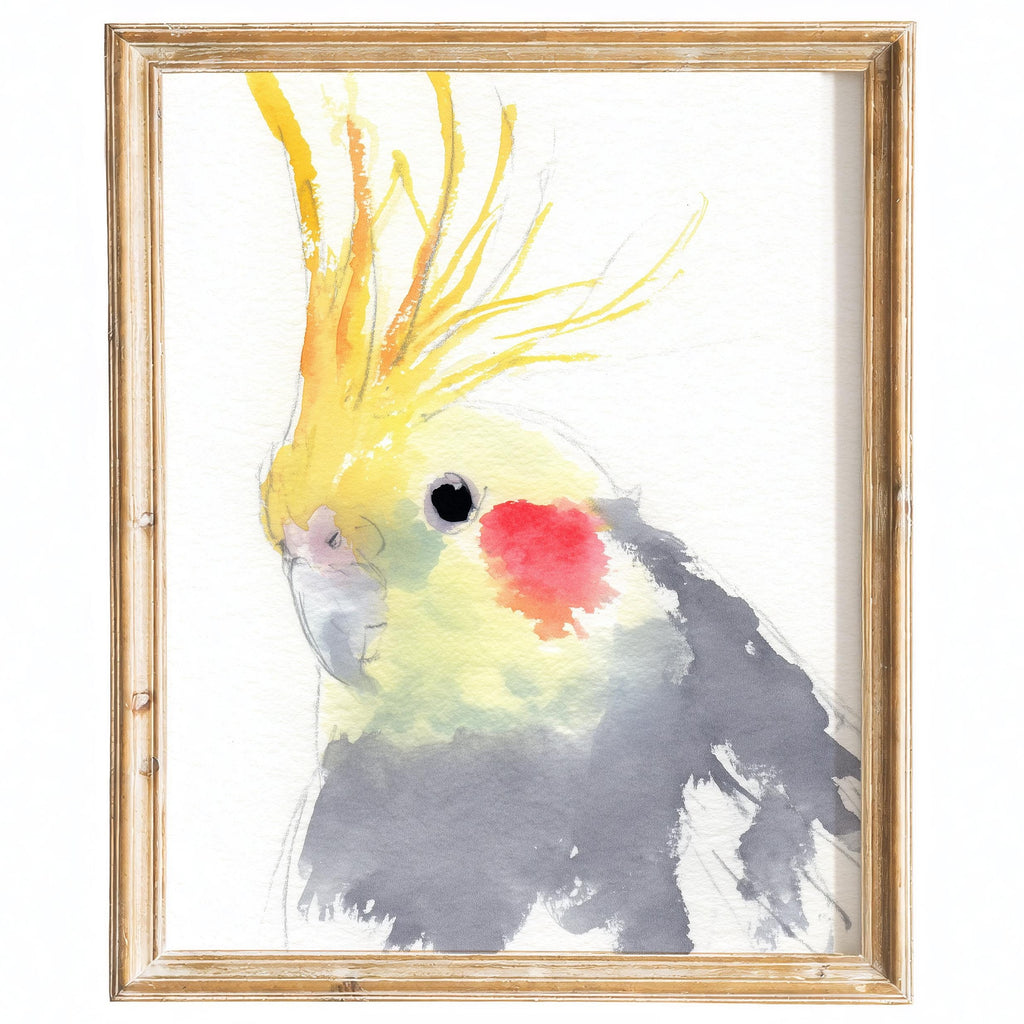 Gray Cockatiel animal art print framed