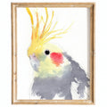 Gray Cockatiel animal art print framed