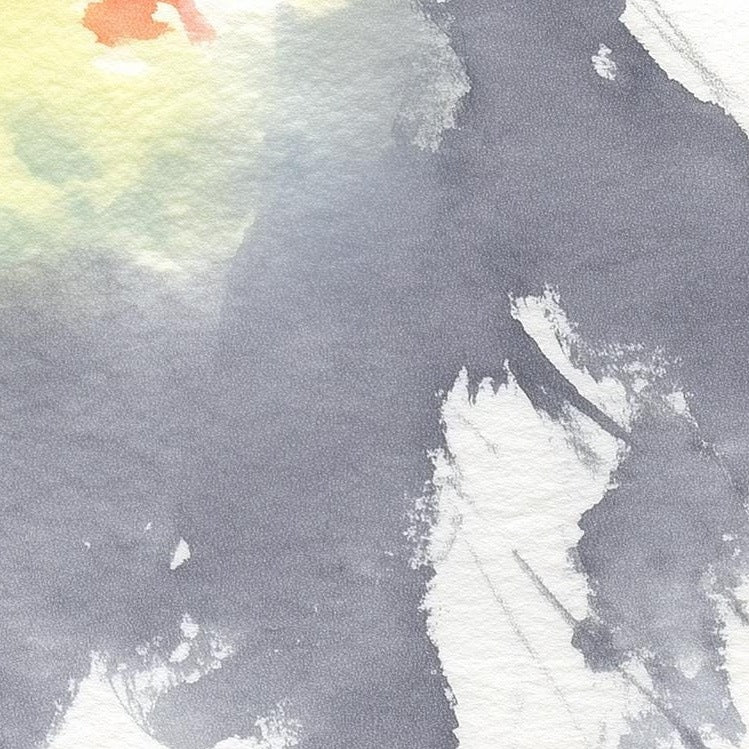 Gray Cockatiel animal art print close-up detail
