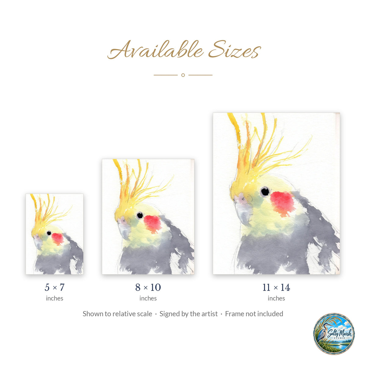 Gray Cockatiel art print size guide: 5x7, 8x10 and 11x14