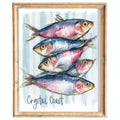 Crystal Coast Fish animal art print framed