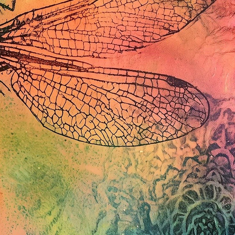 Dragonfly Fern animal art print close-up detail