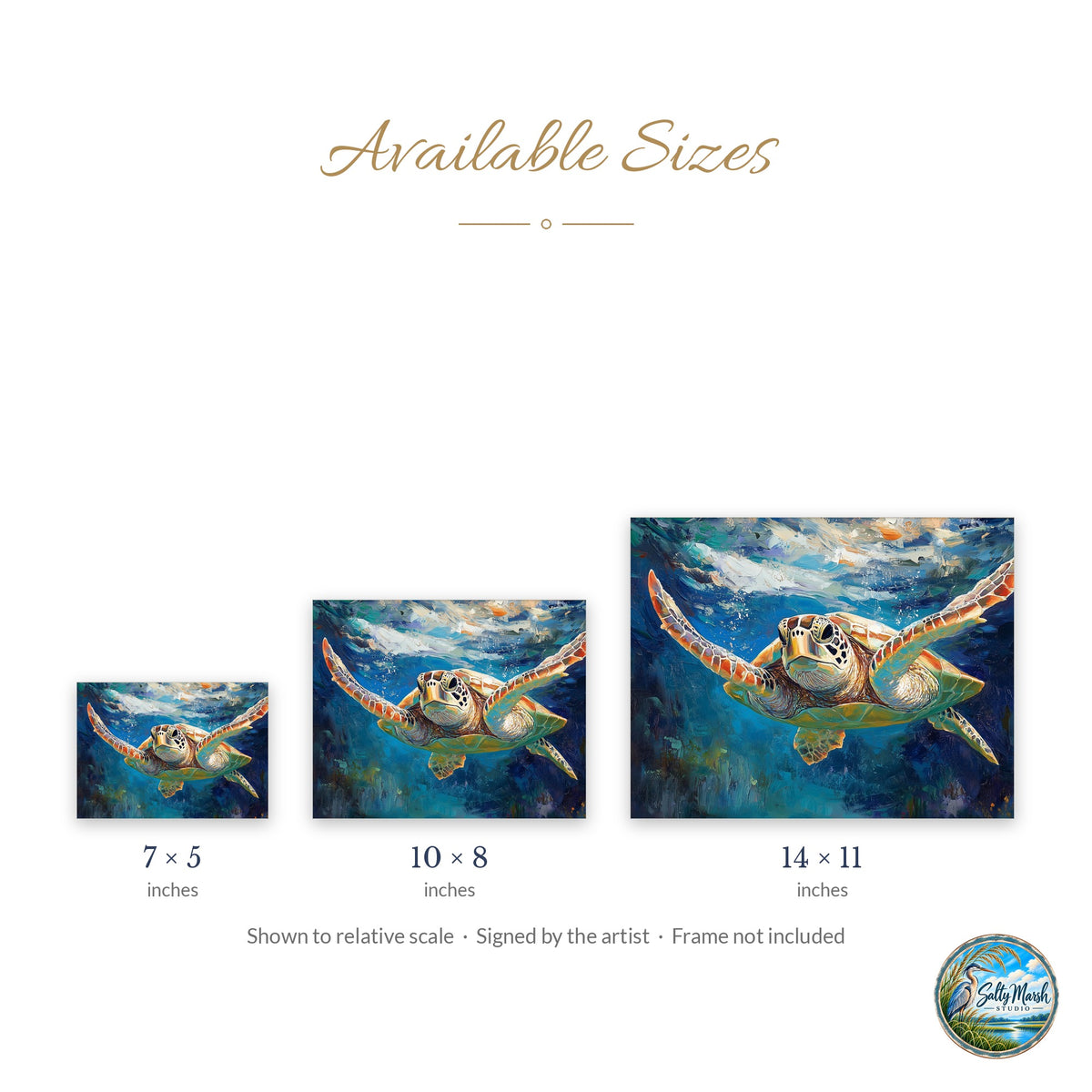 Graceful Sea Turtle art print size guide: 5x7, 8x10 and 11x14