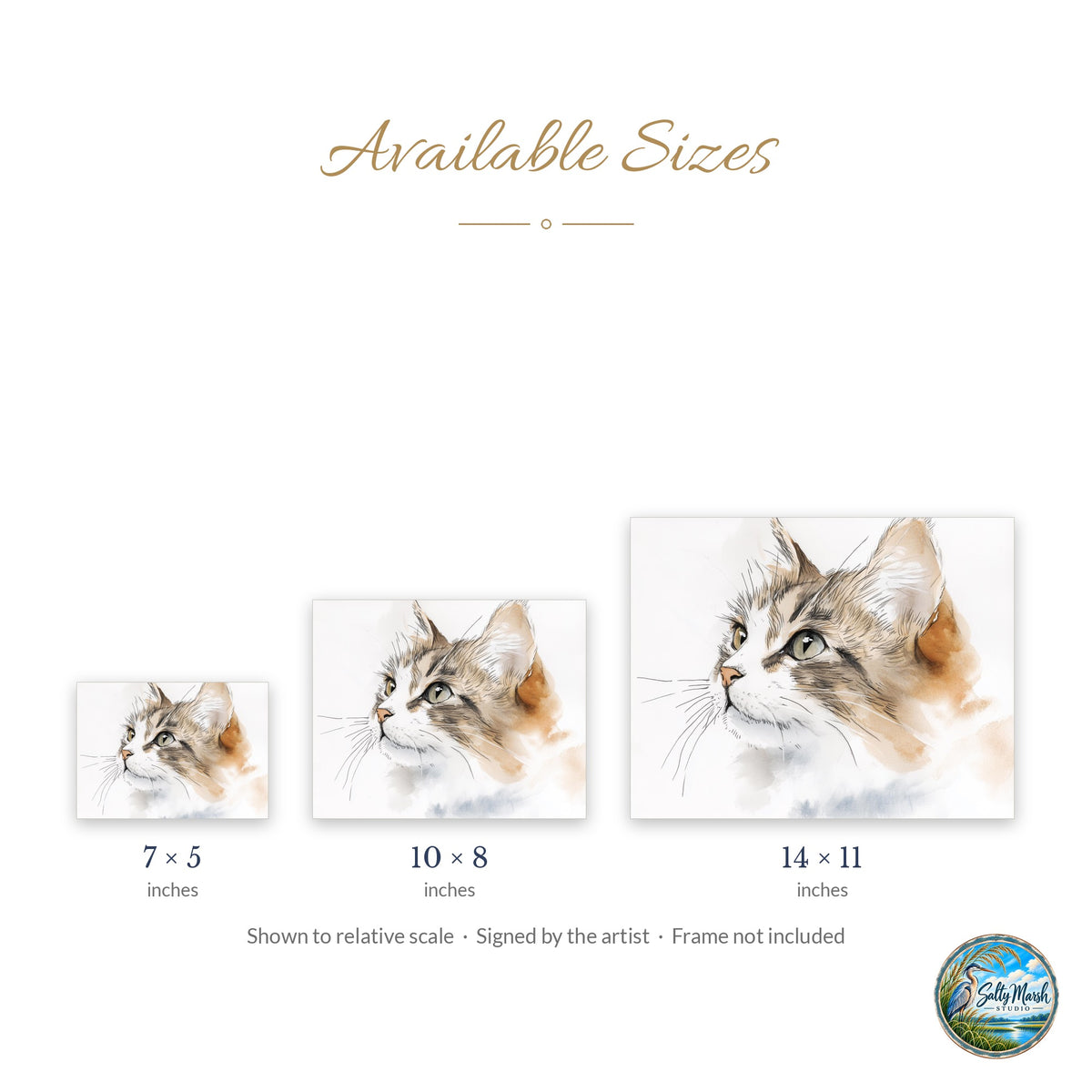 Maine Coon Sketch art print size guide: 5x7, 8x10 and 11x14