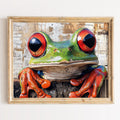 Red Eyed Tree Frog animal art print framed