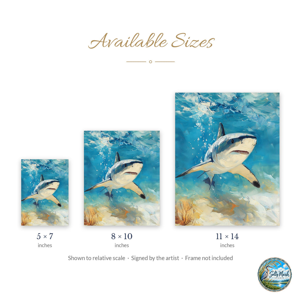 Sunlit Shark art print size guide: 5x7, 8x10 and 11x14