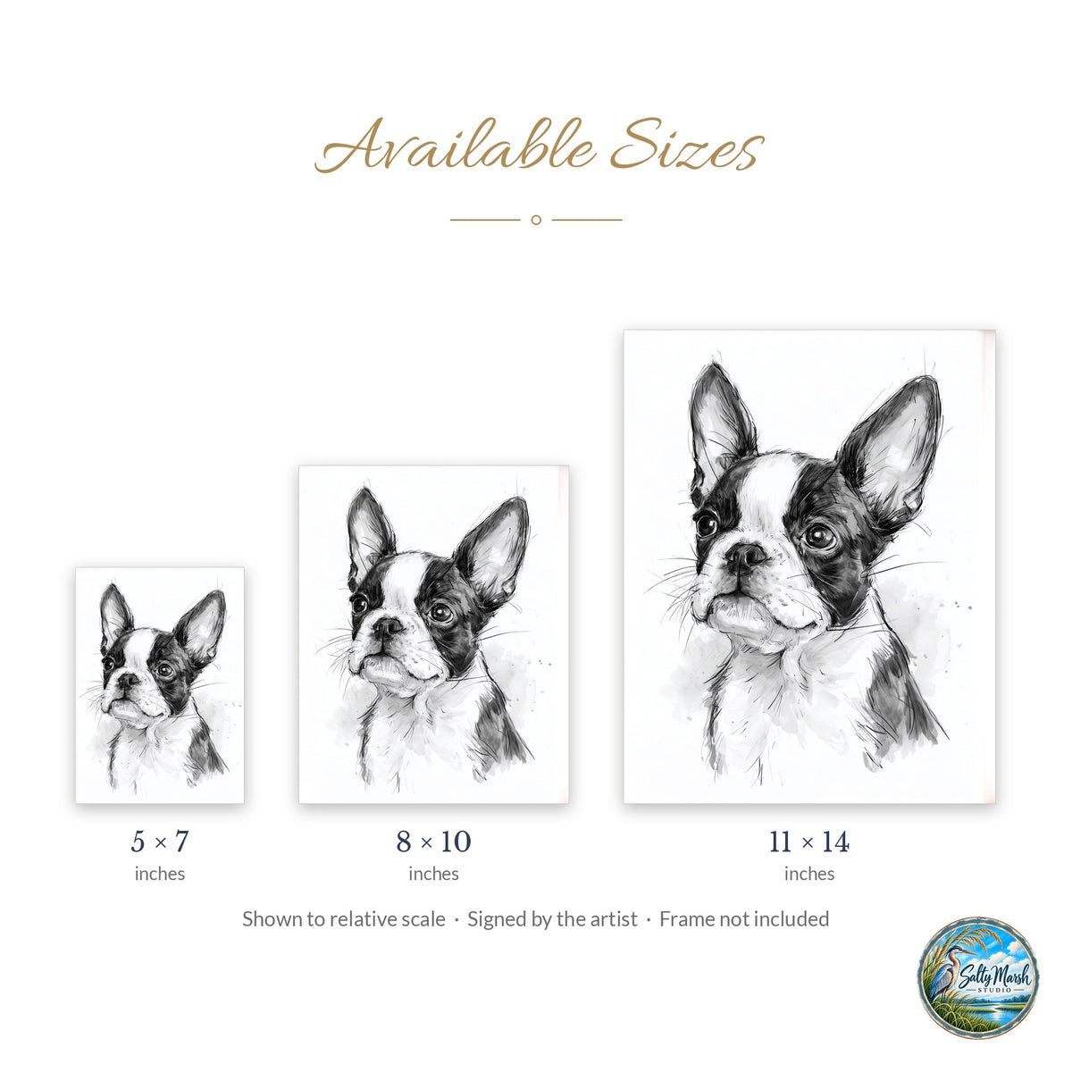 Boston Terrier art print size guide: 5x7, 8x10 and 11x14