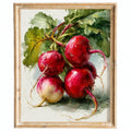 Red Radishes kitchen art print framed